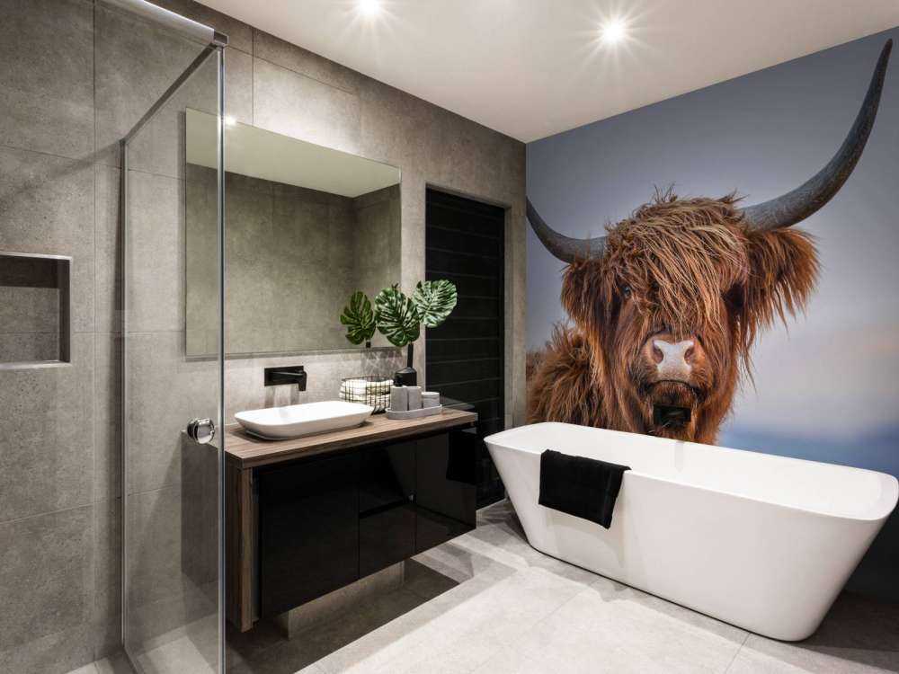 Szkocki wyżyn w roli głównej