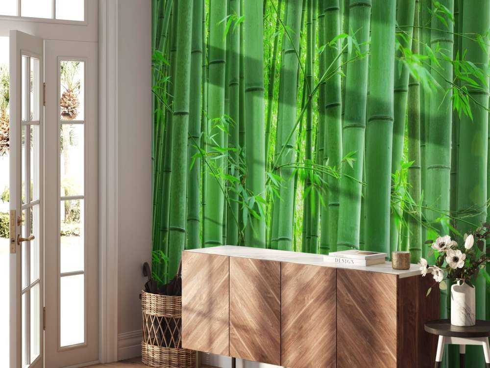 Zbliżenie na las bambusowy