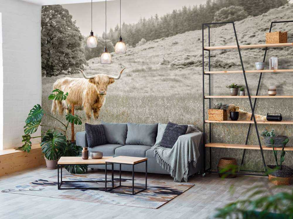 Szkocki wyżyn z cielakiem