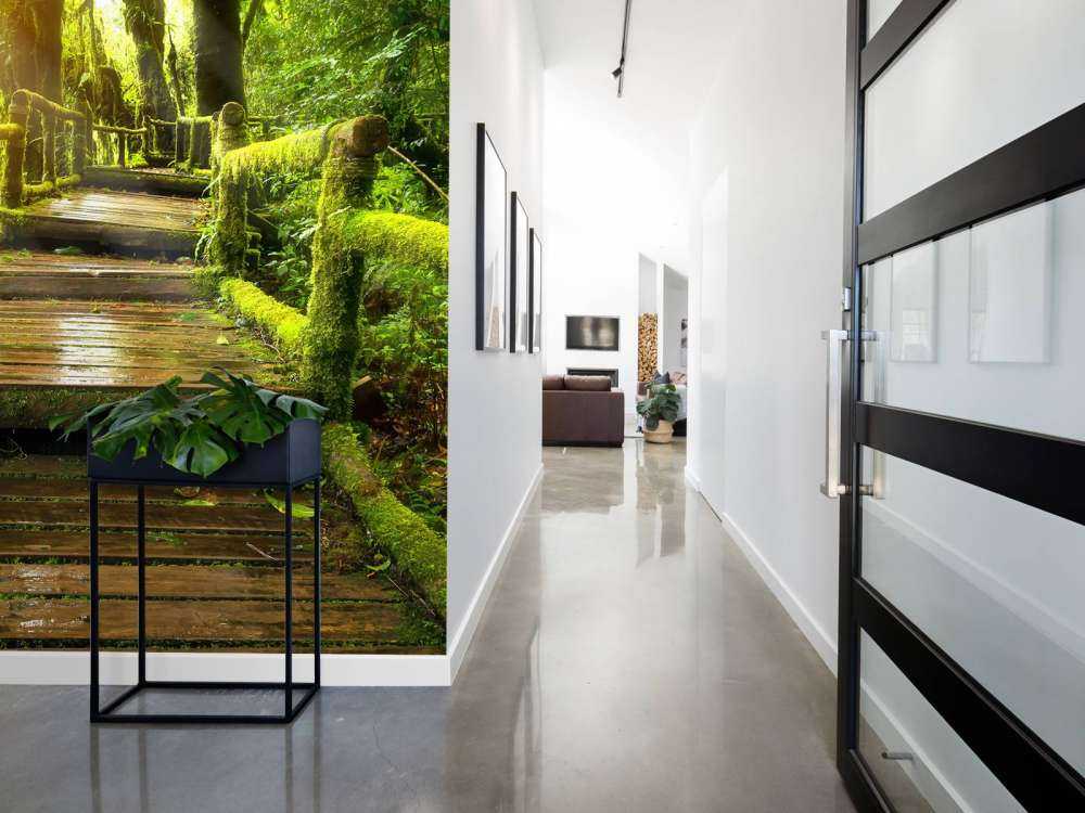 Duże schody do dżungli