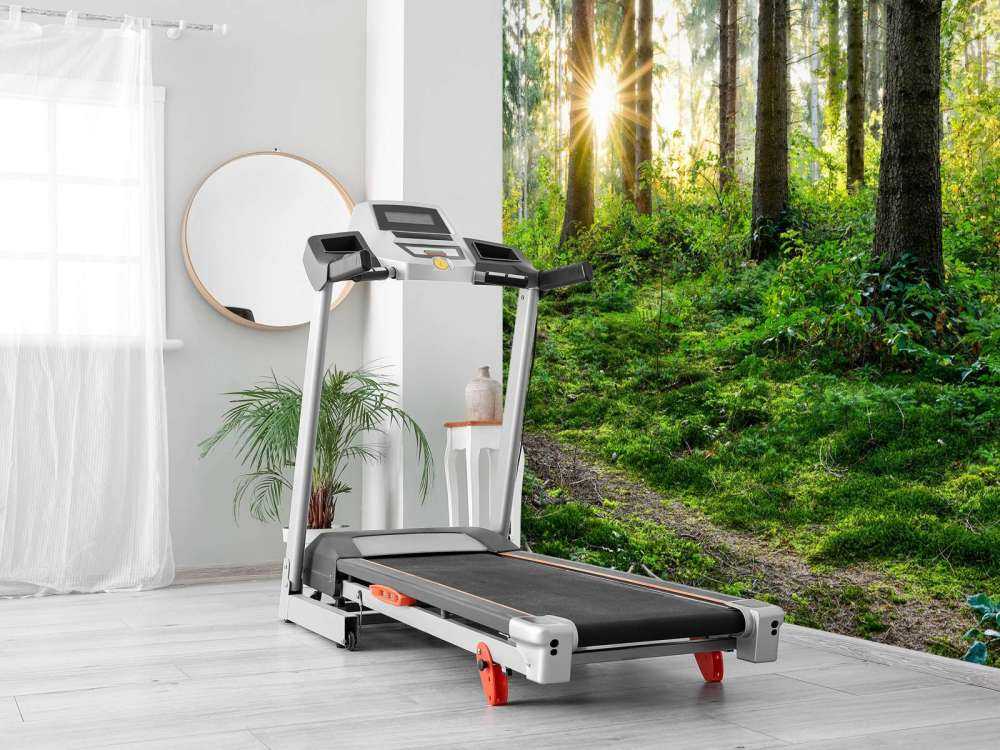 Leśna panorama na wiosnę