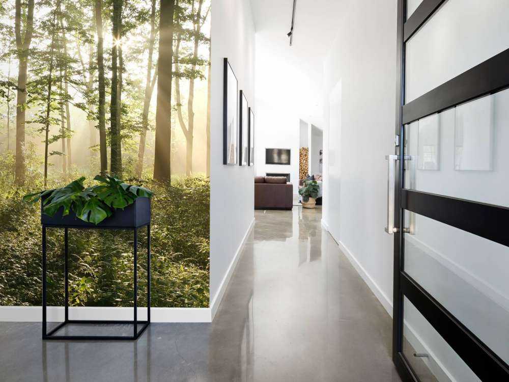 Mglisty las liściasty