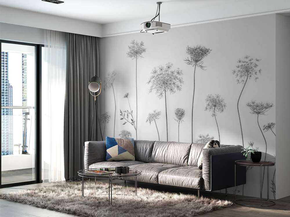 Krowa pietruszka w czerni i bieli