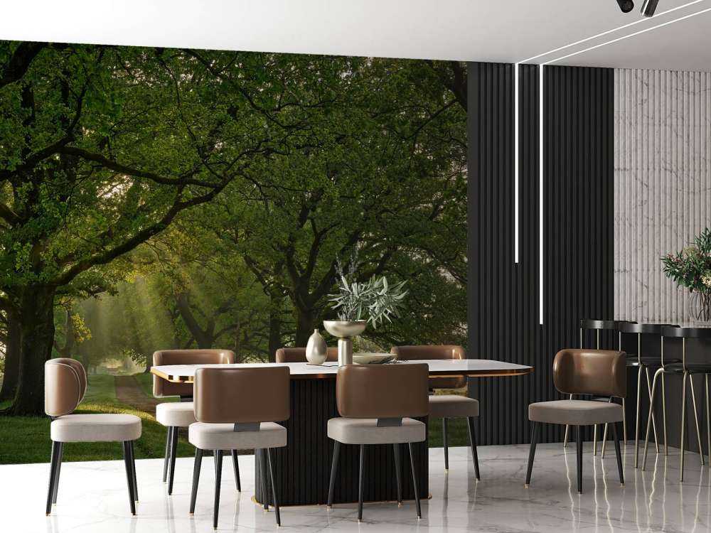 Ścieżka między dębami