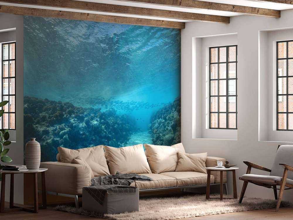 Podwodny świat z koralowcami