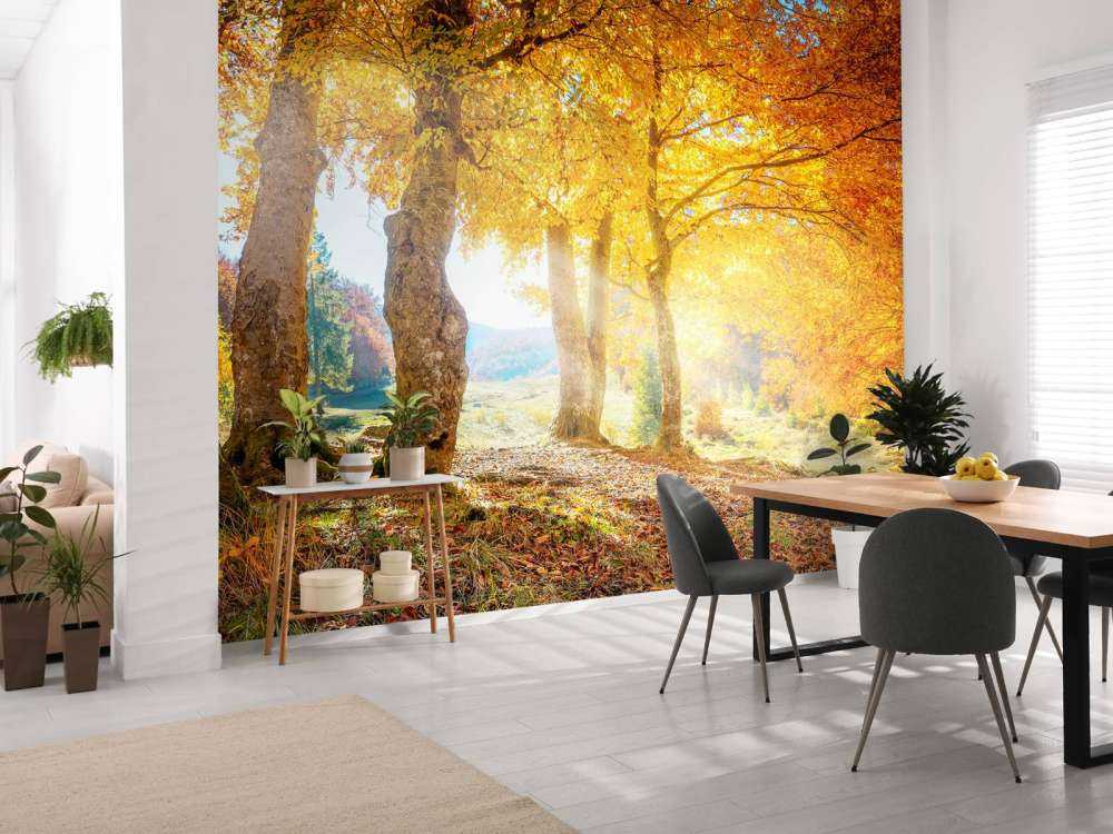 Ciepły jesienny krajobraz