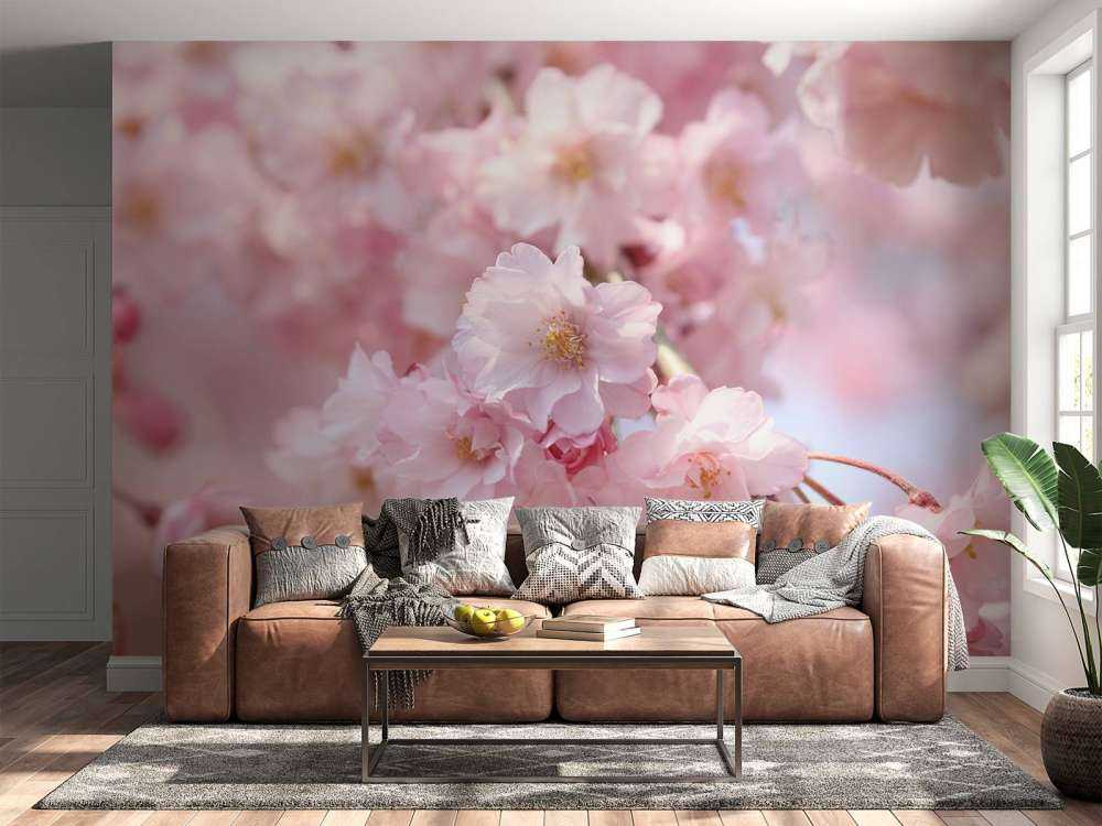 Zbliżenie na różowe kwiaty