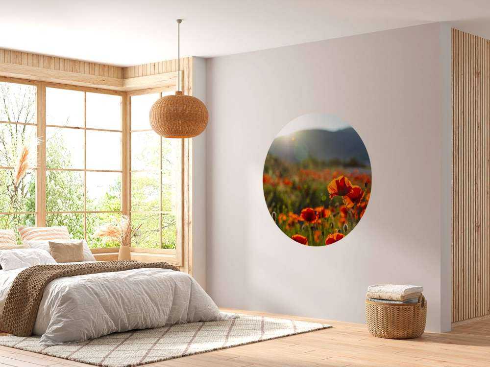 Maki z promieniami słońca