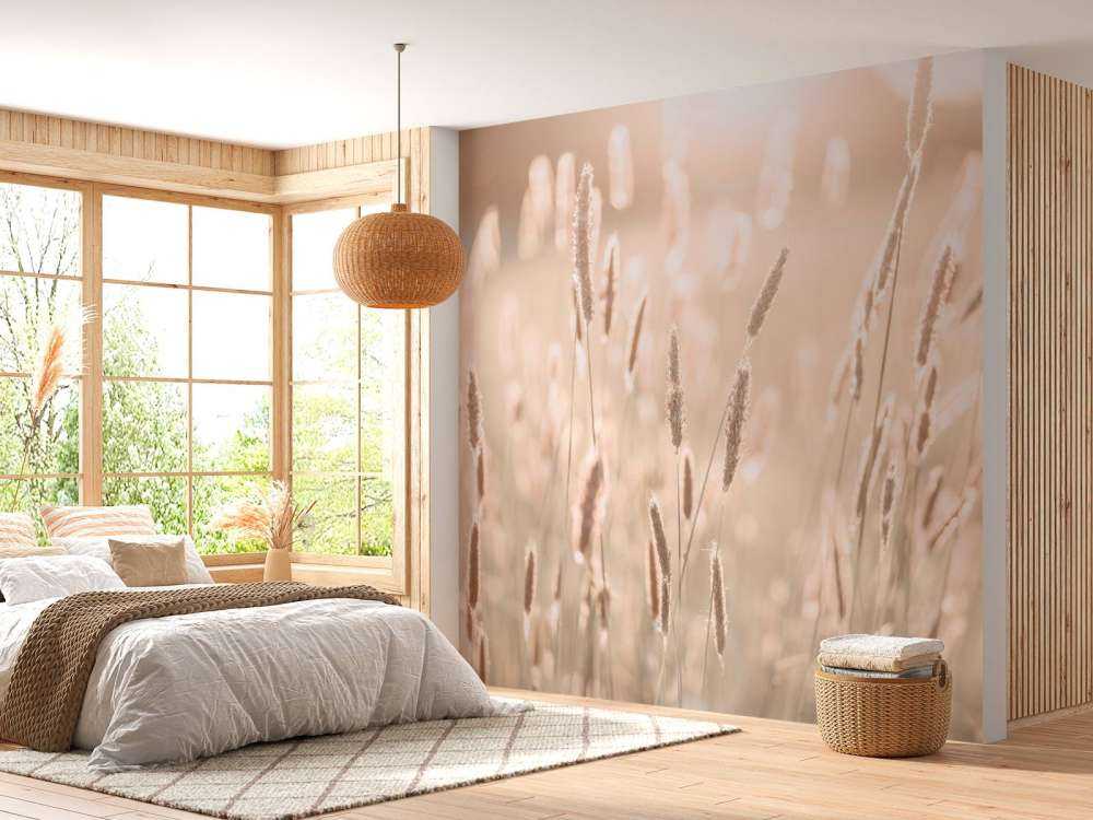 Światło słoneczne przez łąkę