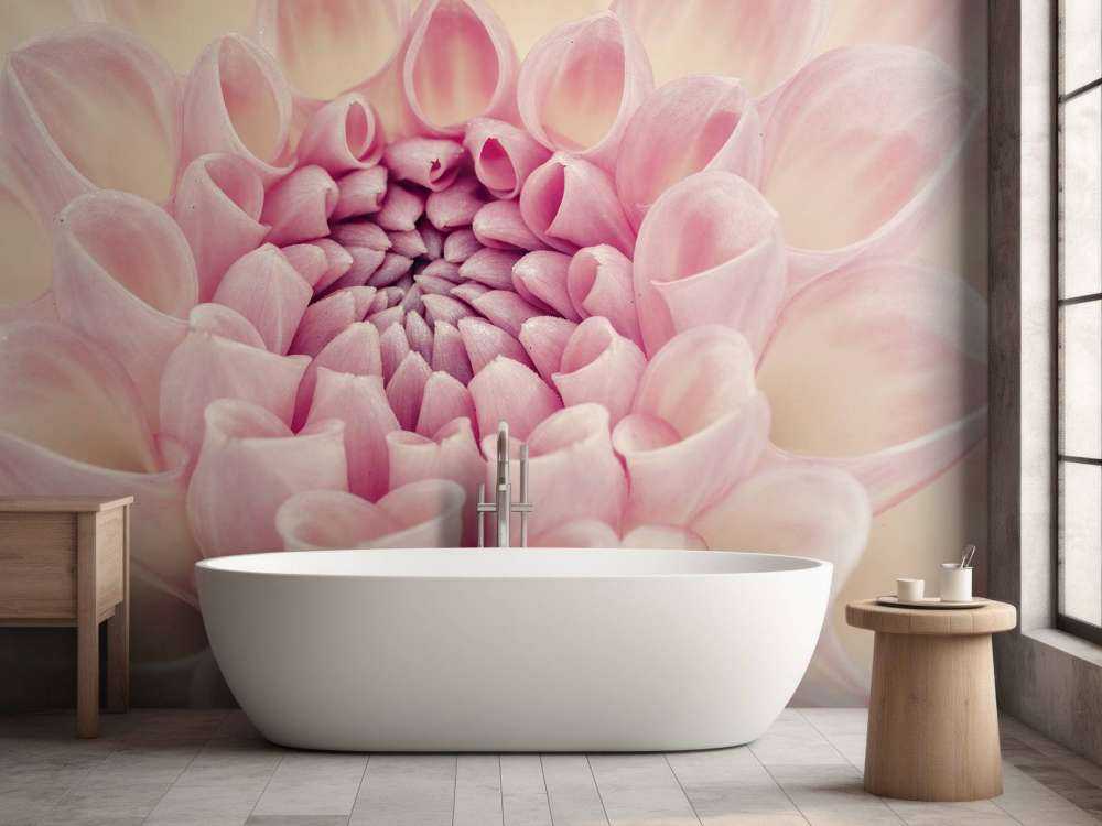 Zdjęcie z bliska dalii