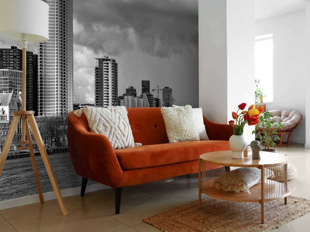 Skyline Rotterdamu (Westerkade) z Katendrecht (czarno-biały) 