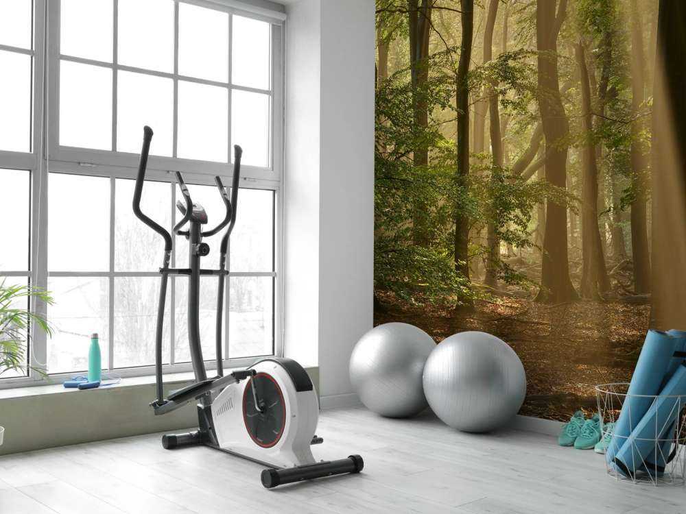 Stary las z osłonami przeciwsłonecznymi