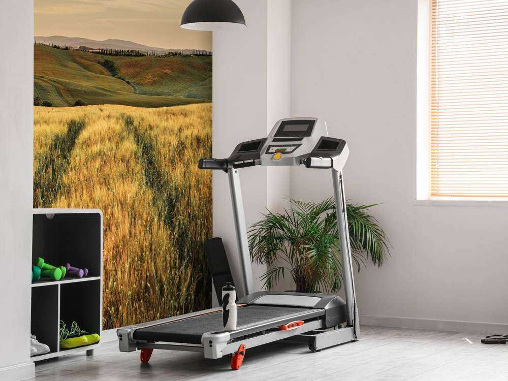 Pole zbożowe z torami