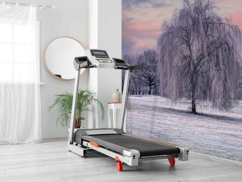 Drzewo pokryte mrozem