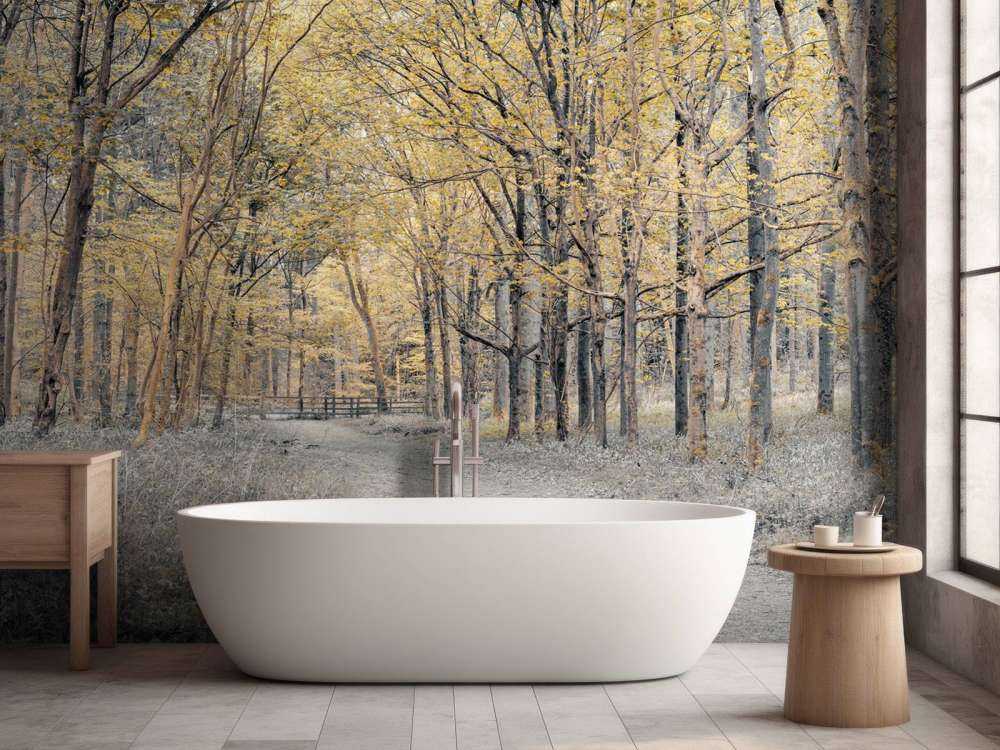 Leśna droga w okresie jesiennym