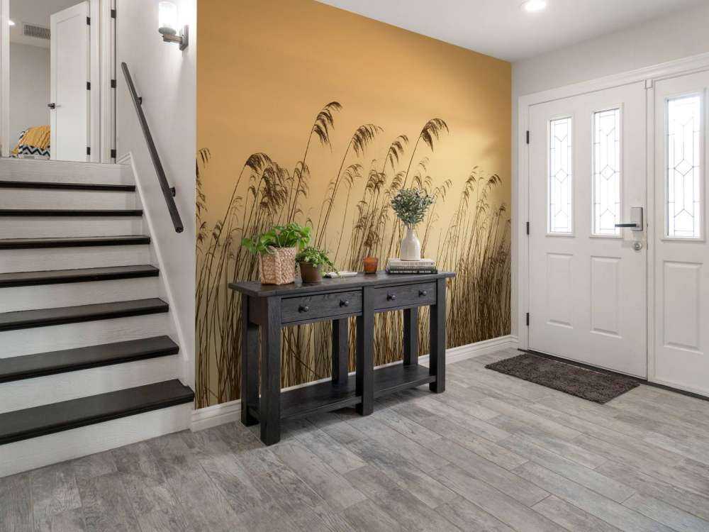 Trzcina wzdłuż nabrzeża