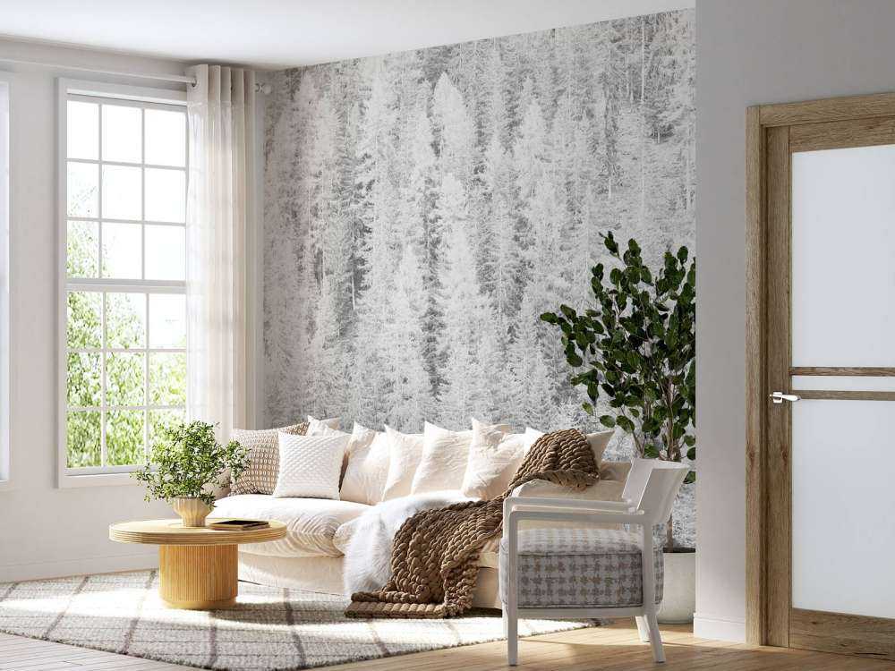 Drzewa iglaste w czerni i bieli