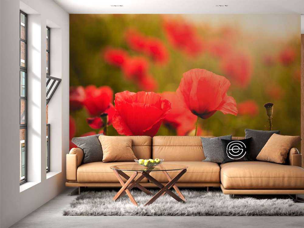 Maki o wschodzie słońca