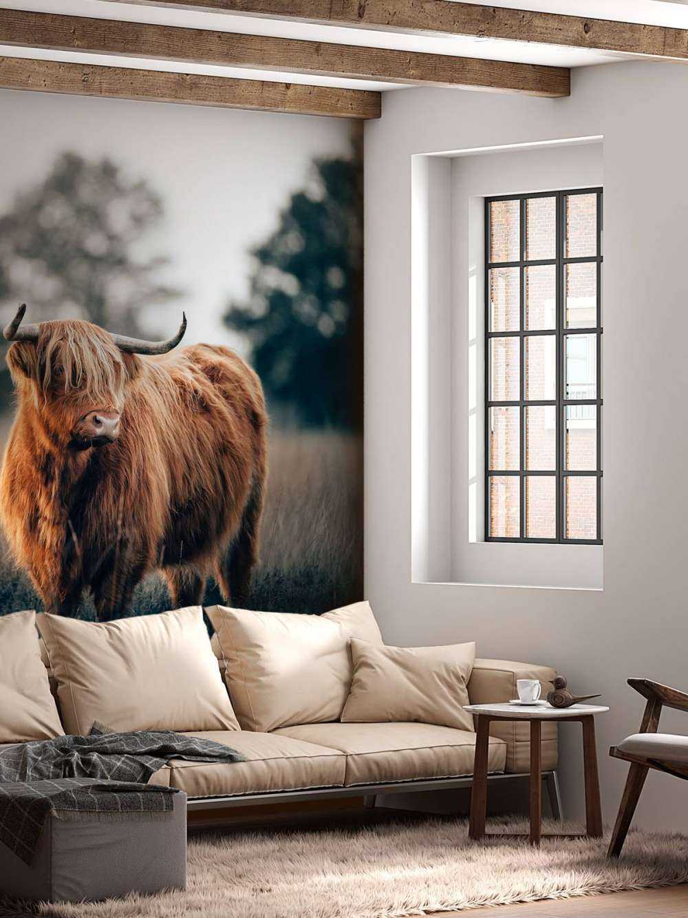 Portret góralskiego bydła