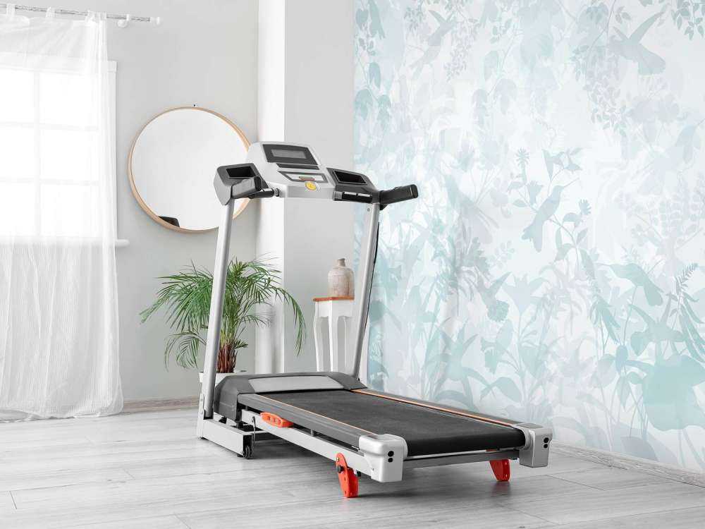 Symfonia Ogrodowa w Niebieskim