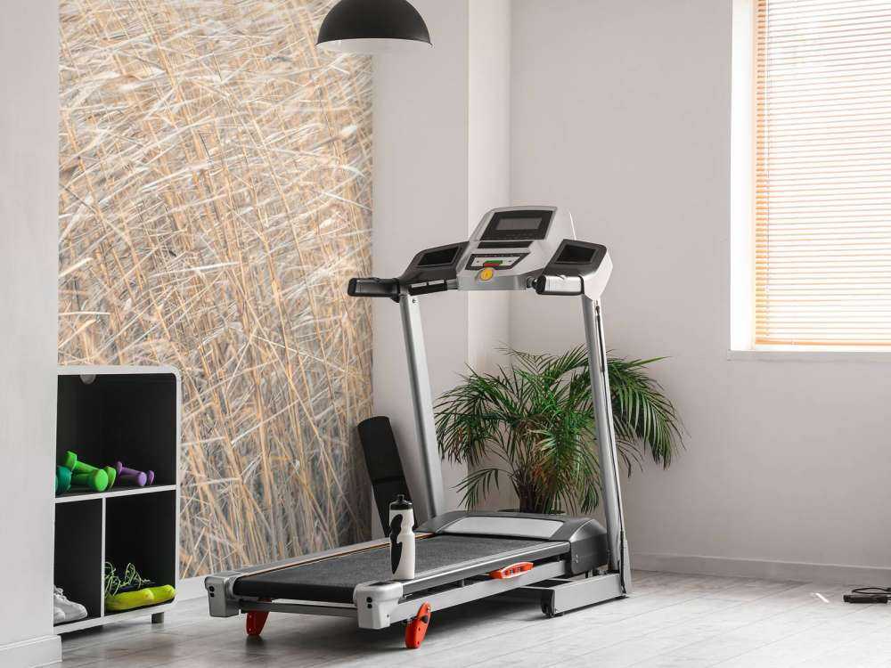 Brown reeds growing in water