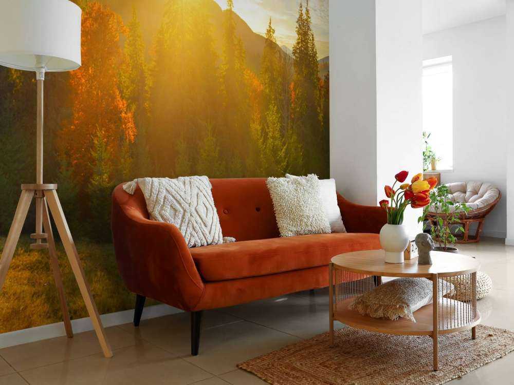 Panorama lasu sosnowego