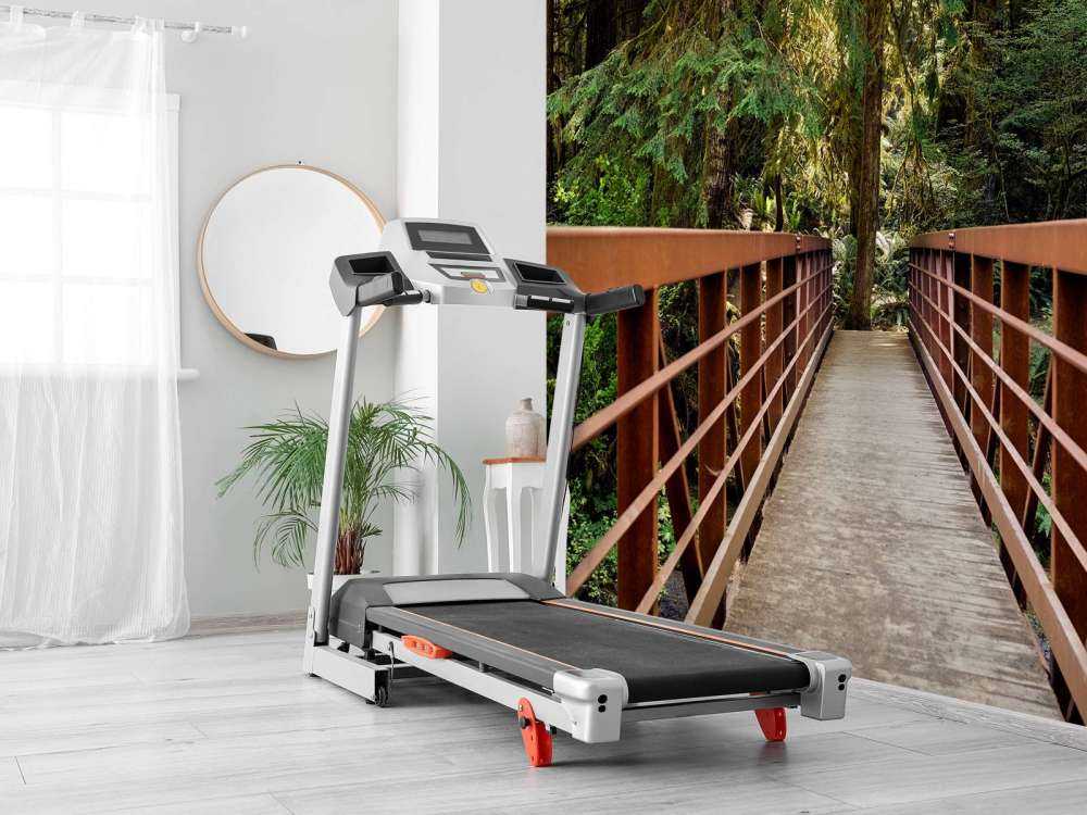 Rusty Bridge w lesie