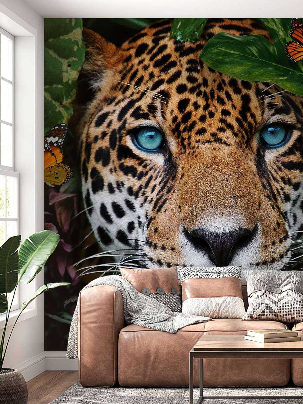 Jungle Leopard
