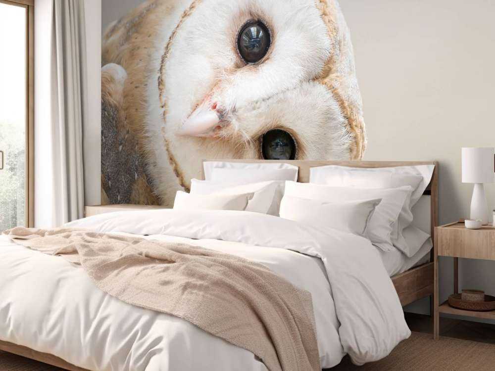 Sowa z przechyloną głową