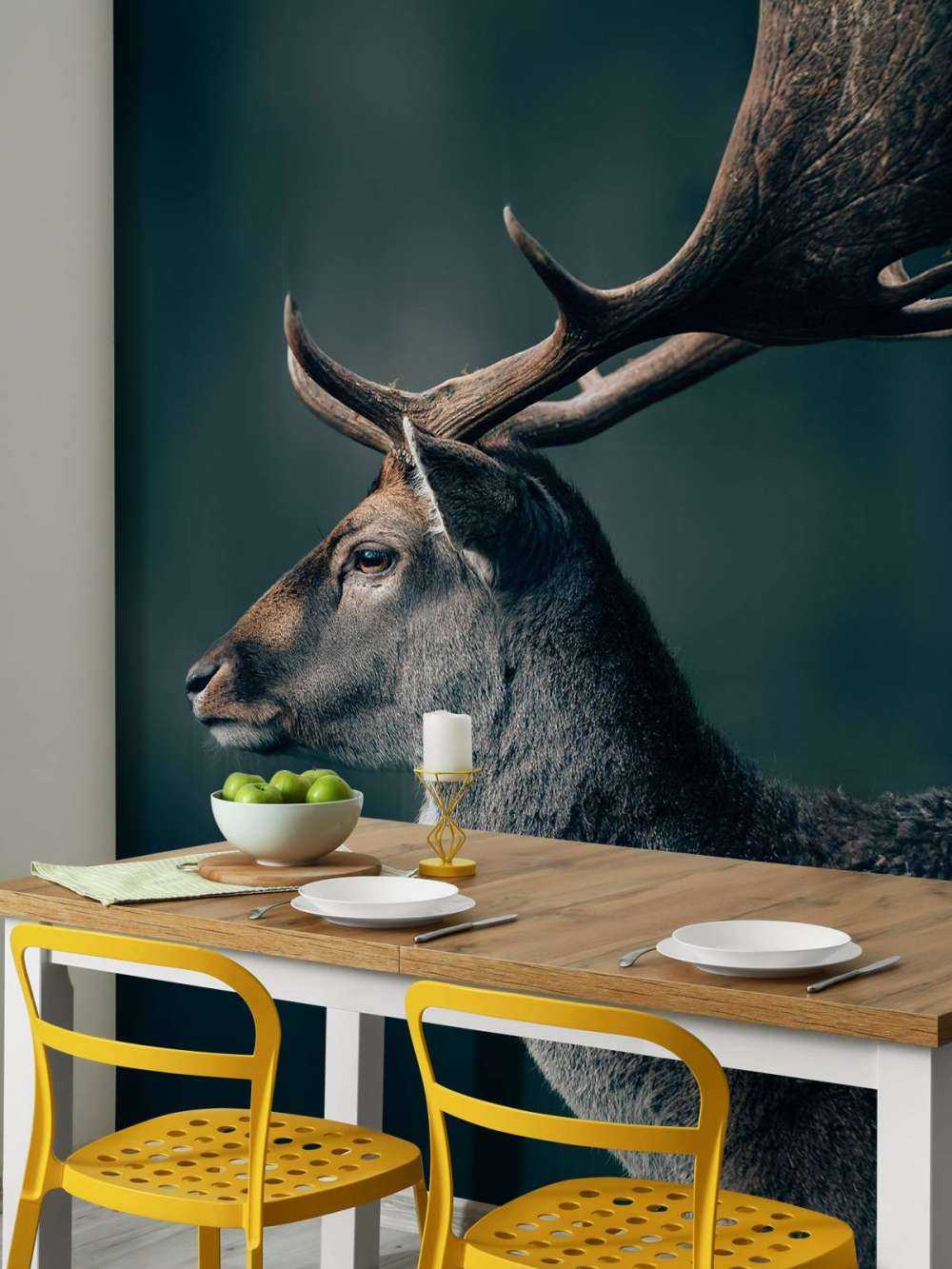 Jeleń daniel zbliżenie