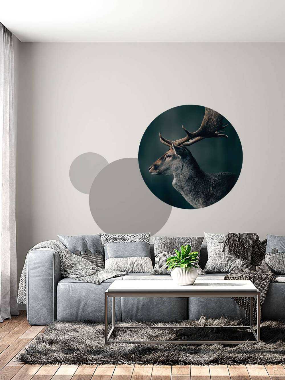 Jeleń daniel zbliżenie