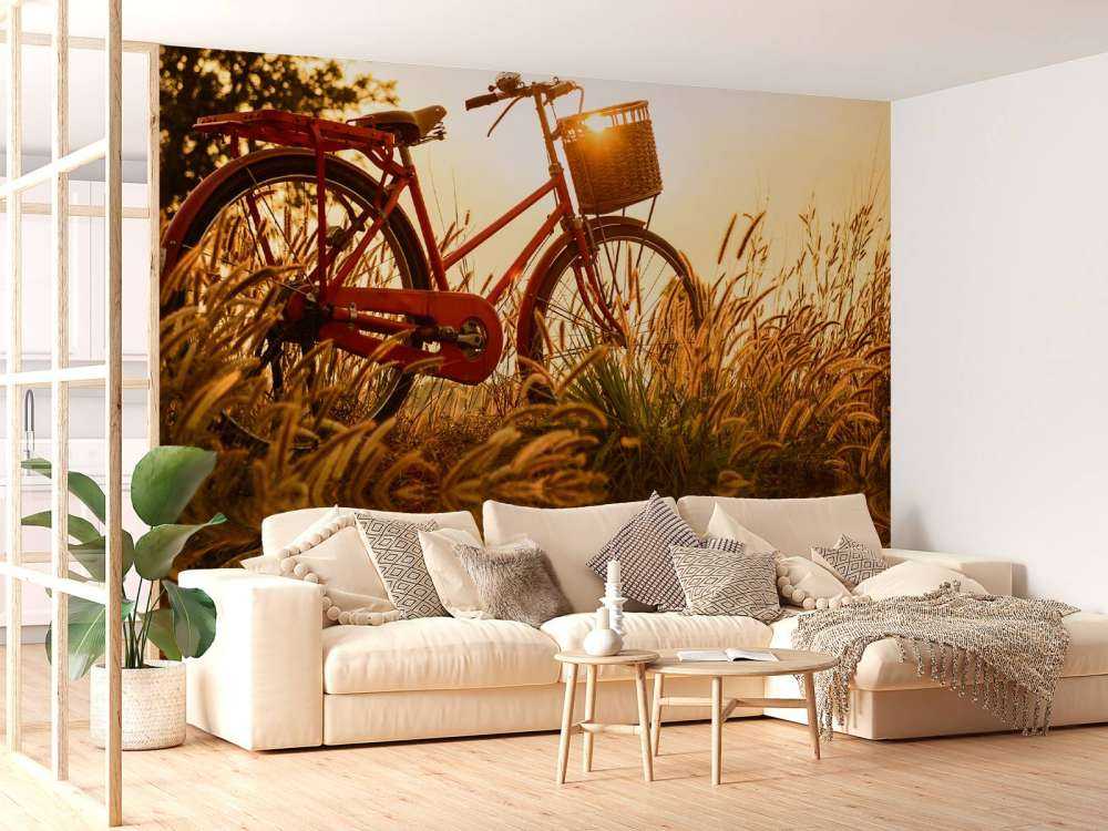 Rower na zachodzie słońca