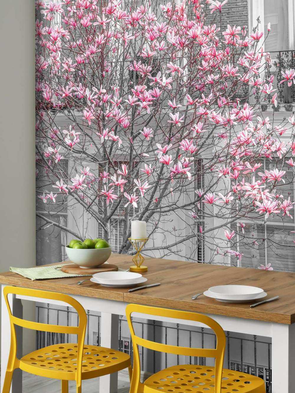 Kwitnące drzewo magnolii