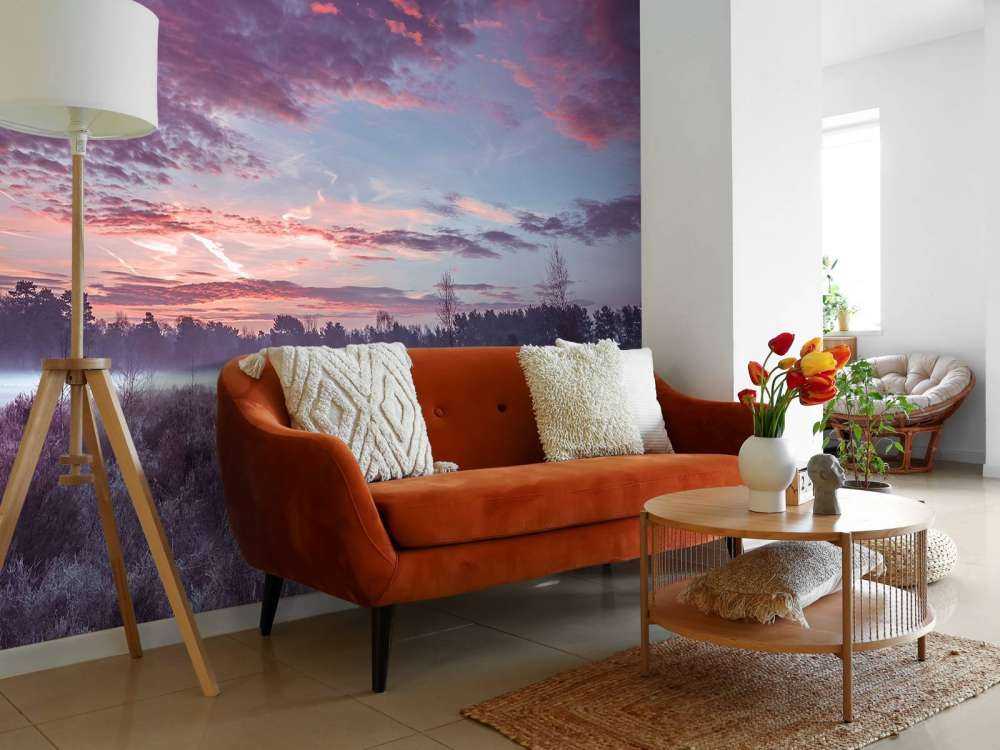 Łąka pod pochmurnym niebem