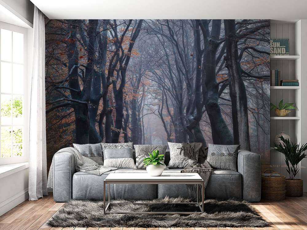 Leśna ścieżka z liśćmi