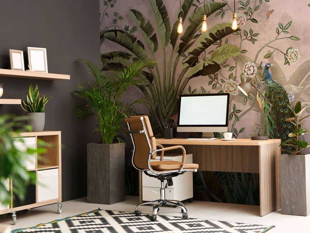 Paw w Tropikalnym Pięknie