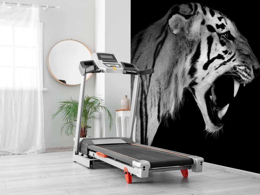 Ryczący tygrys czarny