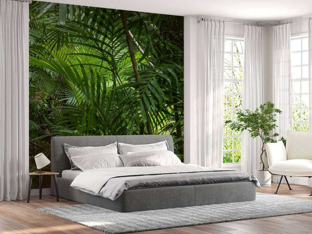 Tropikalne lasy deszczowe