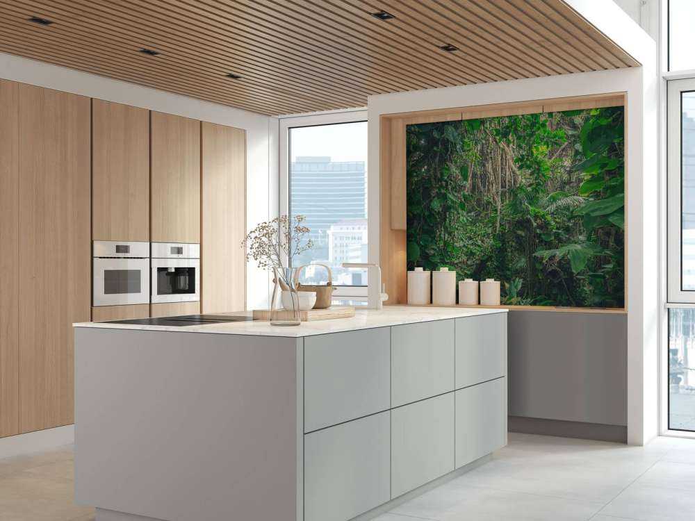 Gałęzie w lesie deszczowym