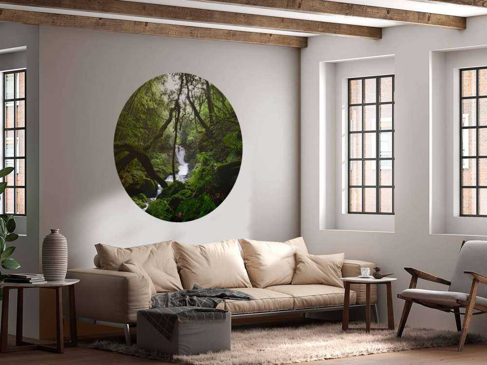 Wodospad otoczony drzewami