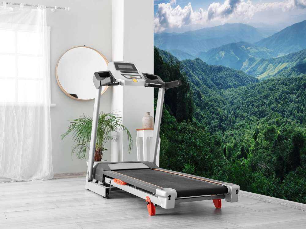 Zielony las tropikalny