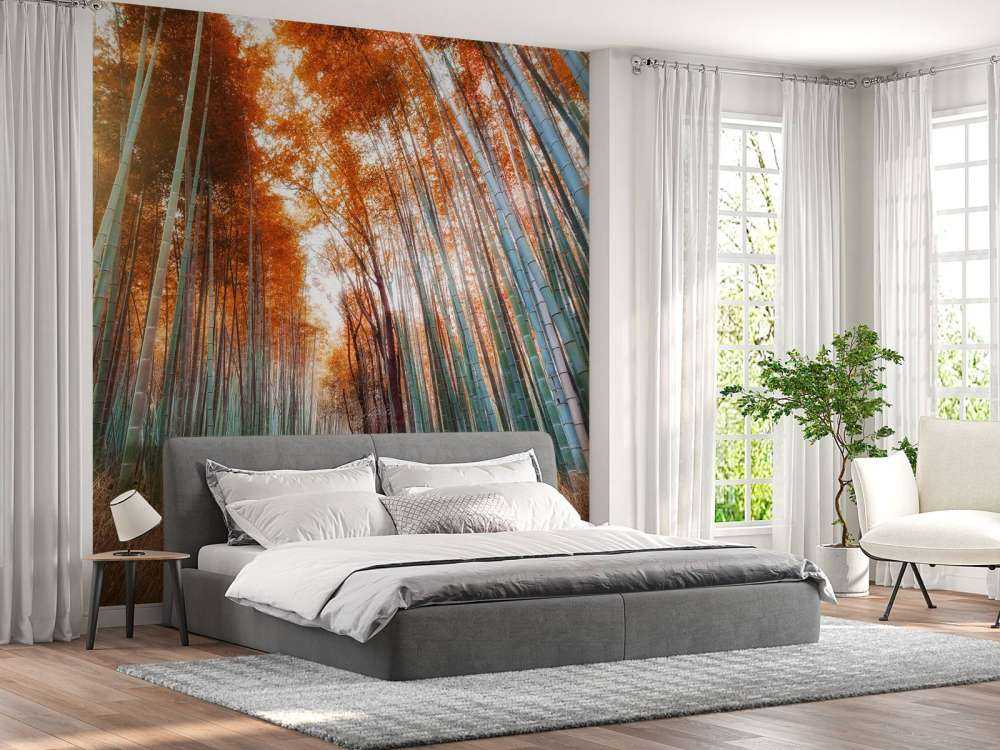 Jesienny las bambusowy