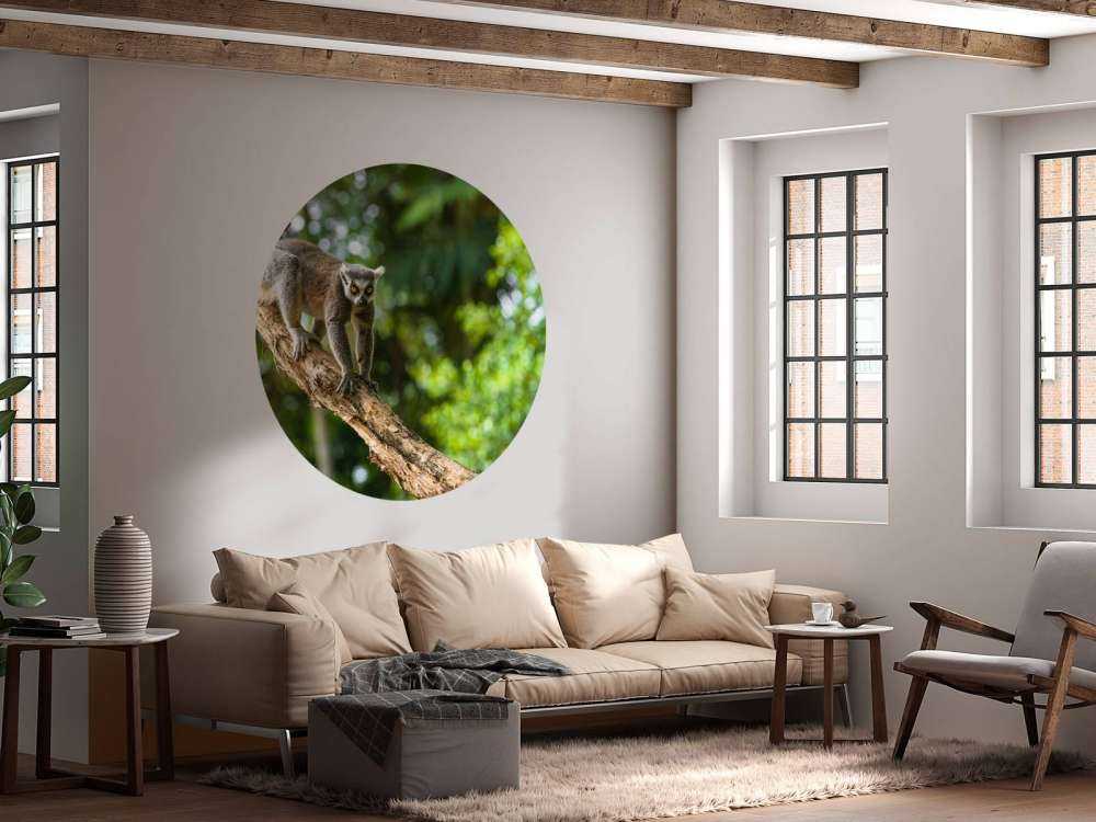 Małpa włochata na drzewie