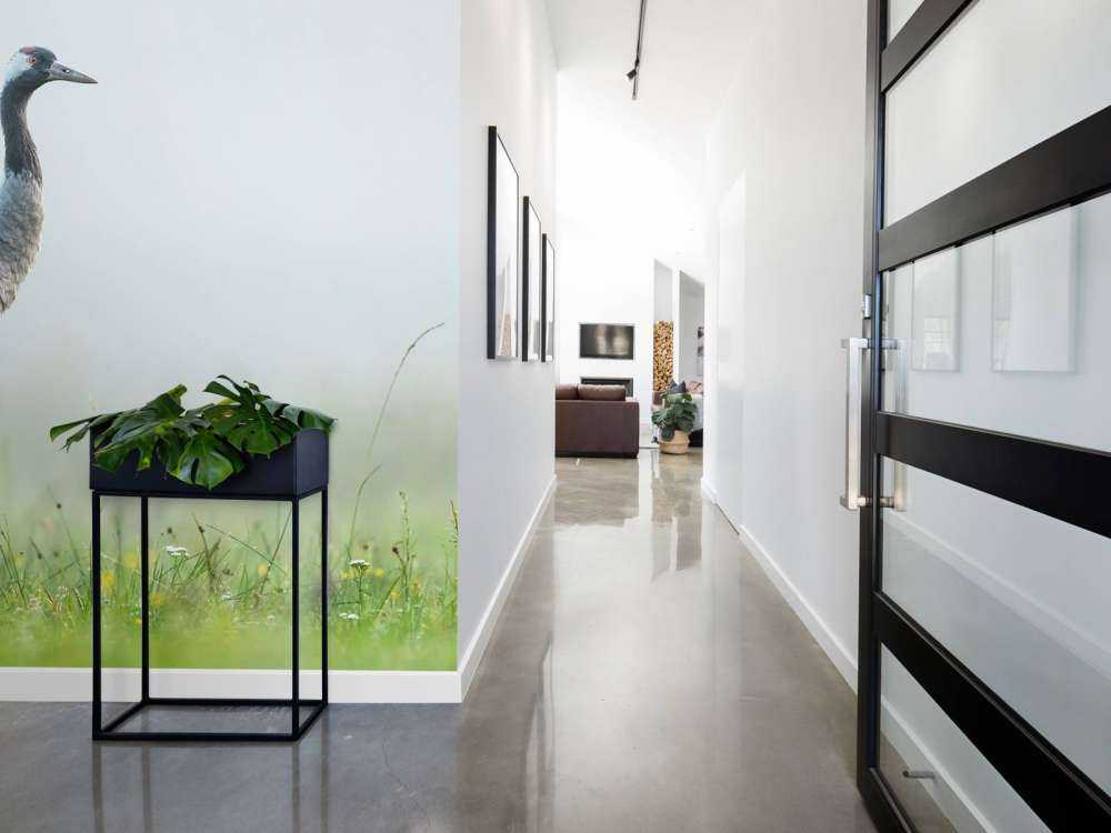 Żuraw w porannej mgle