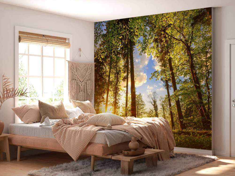 Zachód słońca wśród drzew