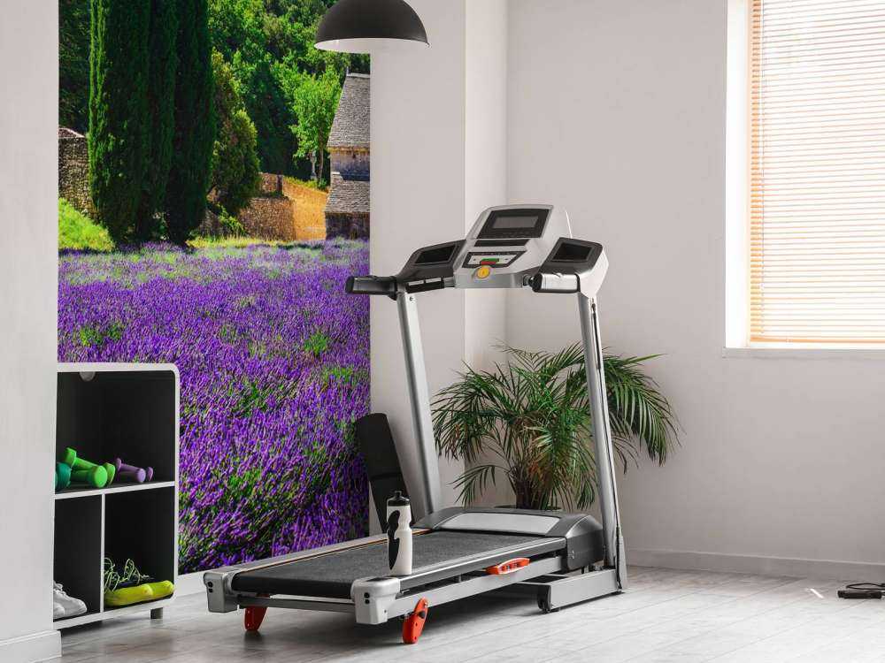 Bajkowe pole lawendy