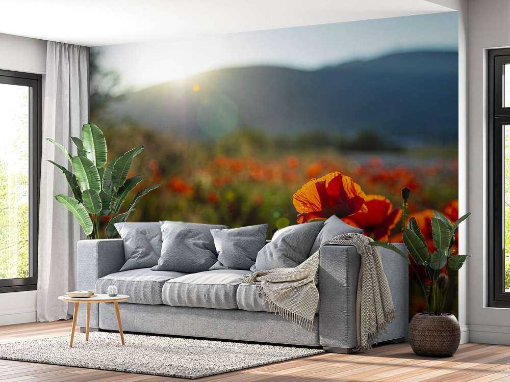 Maki z promieniami słońca