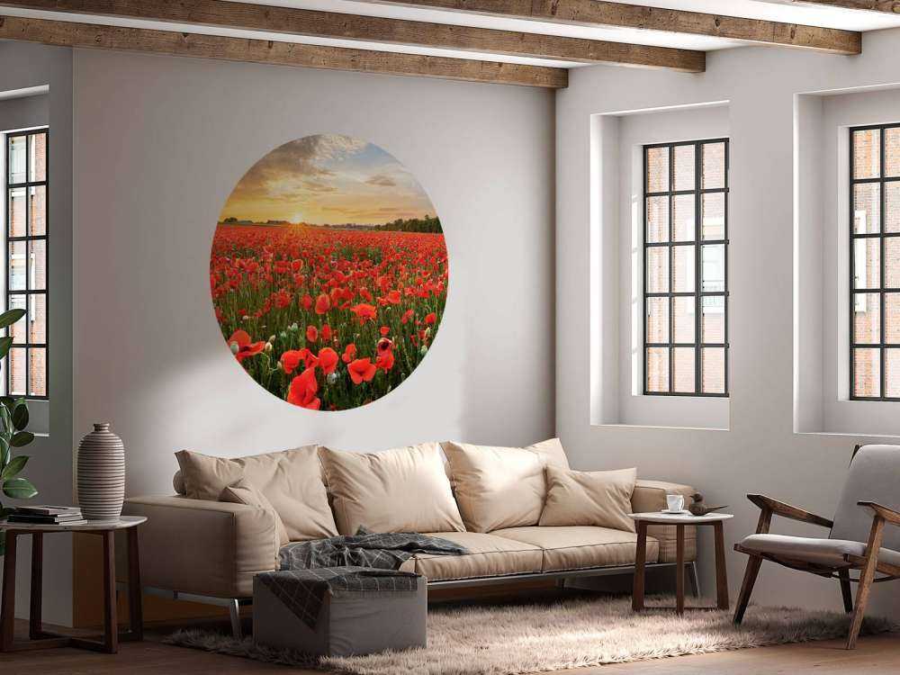 Zachód słońca z makami