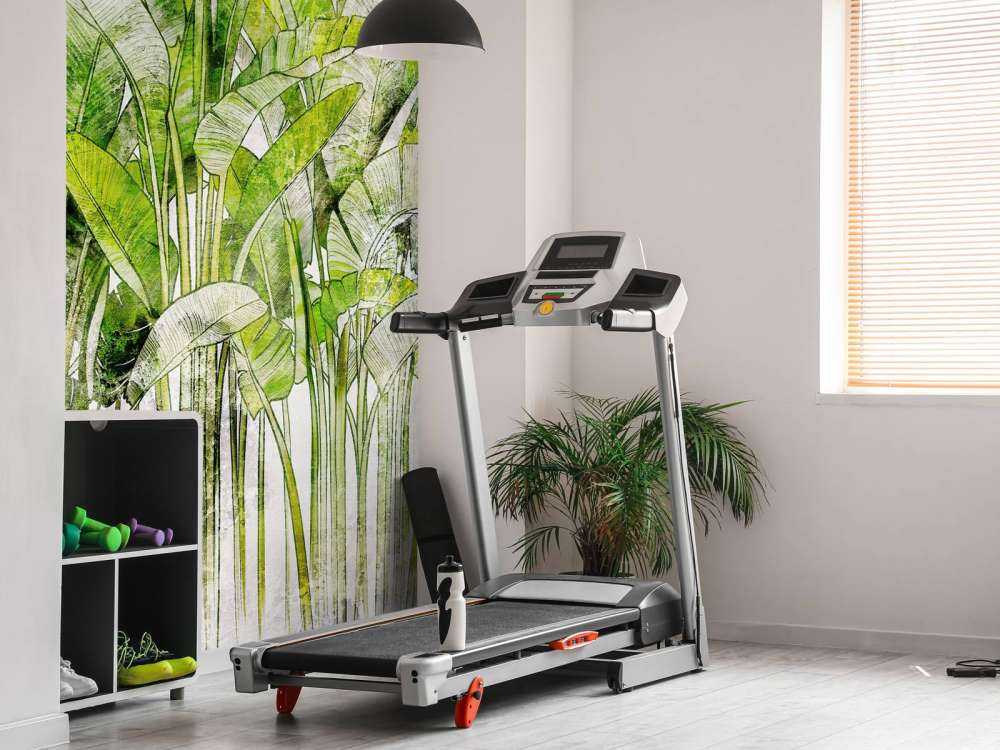 Duże rysowane liście palmy