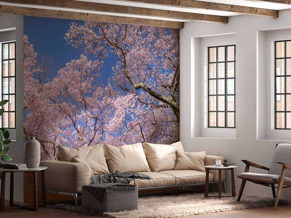 Kwiaty na tle błękitnego nieba